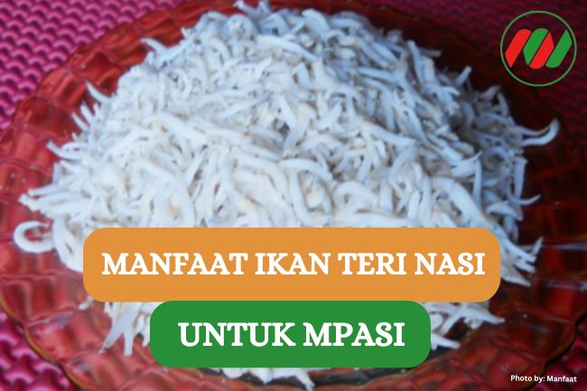 Ini Dia 8 Manfaat Ikan Teri Nasi untuk MPASI Bayi